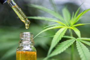 CBD oil in UK